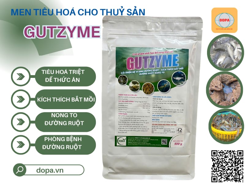 Che phẩm sinh học trong thủy sản: Giải pháp tối ưu hóa năng suất và sức khỏe vật nuôi thủy sản